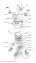Fig. 08 - Fluid-cushion sealing device