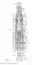 Fig. 02 - Lubricant injector
