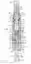 Fig. 02 - Lubricant injector with improved piston