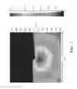 Fig. 08 - HEADLIGHT DEVICE