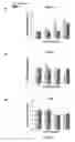 Fig. 07 - DETERMINING THE RISK OF SCOLIOSIS COMPRISING DETERMINING CELLULAR RESPONSE TO MECHANOSTIMULATION