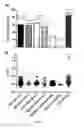 Fig. 02 - Diagnosis method for lupus