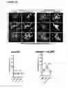 Fig. 05 - Methods for detecting molecules in a sample