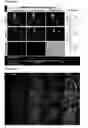 Fig. 31 - Methods for detecting molecules in a sample
