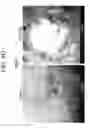 Fig. 09 - DIAGNOSTIC AND THERAPEUTIC USES OF EXOSOMES