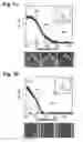 Fig. 06 - Magneto-optical light modulator
