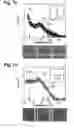 Fig. 07 - Magneto-optical light modulator
