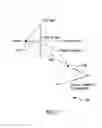 Fig. 07 - Panning in a three dimensional environment on a mobile device