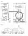 Fig. 02 - Management device, image forming apparatus, medium application system, management method, and computer-readable recording medium