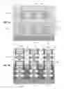 Fig. 02 - Stacked transistors with different gate lengths in different device strata
