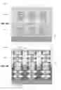 Fig. 15 - Stacked transistors with different gate lengths in different device strata