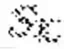 Fig. 09 - Constructing content based on multi-sentence compression of source content
