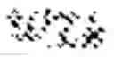 Fig. 12 - Constructing content based on multi-sentence compression of source content