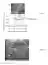 Fig. 03 - DENDRITIC STRUCTURES AND TAGS