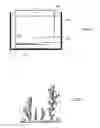 Fig. 05 - DENDRITIC STRUCTURES AND TAGS