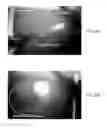 Fig. 07 - DENDRITIC STRUCTURES AND TAGS