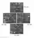 Fig. 22 - DENDRITIC STRUCTURES AND TAGS