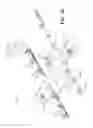 Fig. 02 - Image based localization for unmanned aerial vehicles, and associated systems and methods