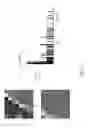 Fig. 07 - IMAGE IDENTIFICATION METHOD AND IMAGE IDENTIFICATION DEVICE
