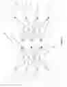 Fig. 03 - Multi-modal medical image processing