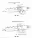 Fig. 03 - Extracting information from surface coatings
