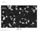 Fig. 08 - Extracting information from surface coatings