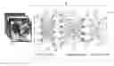 Fig. 01 - NEURAL ENTROPY ENHANCED MACHINE LEARNING