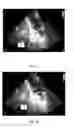 Fig. 06 - System and methods for diagnostic image analysis and image quality assessment