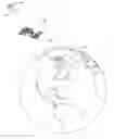 Fig. 01 - Cluttered background removal from imagery for object detection