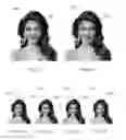 Fig. 08 - Producing realistic talking face with expression using images text and voice