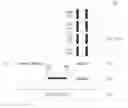 Fig. 01 - Integrated circuit chip