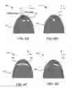 Fig. 06 - Combined SEM-CL and FIB-IOE microscopy