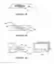Fig. 02 - Mass spectrometric determination of particular tissue states