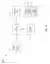 Fig. 02 - Passivation of nonlinear optical crystals