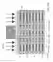 Fig. 29 - Three-dimensional memory device containing multi-threshold-voltage drain select gates and method of making the same