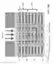 Fig. 30 - Three-dimensional memory device containing multi-threshold-voltage drain select gates and method of making the same