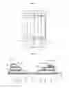 Fig. 19 - Light emitting stacked structure and display device having the same