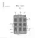Fig. 19 - Resistive memory with a plurality of resistive random access memory cells each comprising a transistor and a resistive element