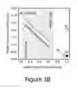 Fig. 10 - Window-integrated photovoltaic devices