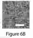 Fig. 17 - Window-integrated photovoltaic devices