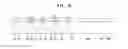 Fig. 06 - Top-emissive organic light-emitting diode display