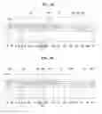 Fig. 09 - Top-emissive organic light-emitting diode display