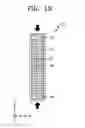 Fig. 09 - LITHIUM SECONDARY BATTERY