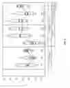 Fig. 09 - Electrochemical cell and electrolyte for same