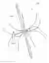 Fig. 01 - Direction finder antenna system