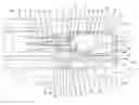 Fig. 01 - Terminal fitting and connector