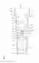 Fig. 04 - Terminal fitting