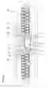Fig. 49 - Connector with displacement restricting member