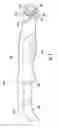 Fig. 05 - Knife accessory for hot stick