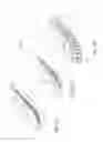 Fig. 03 - Transport device in the form of a long stator linear motor